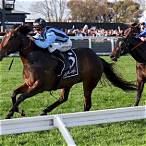 the heath 1100 bet on